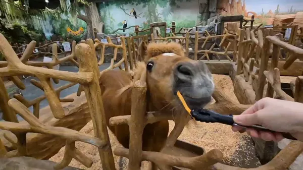 ジュデム キッズランド