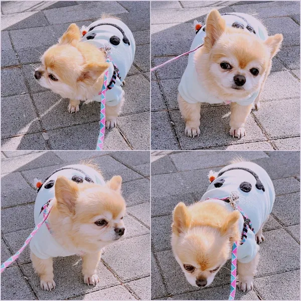 은대리 문화벽돌공장 사진 5
