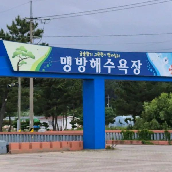 맹방해수욕장 사진 4