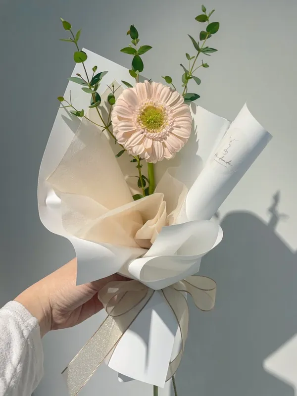 고이담다 사진 4