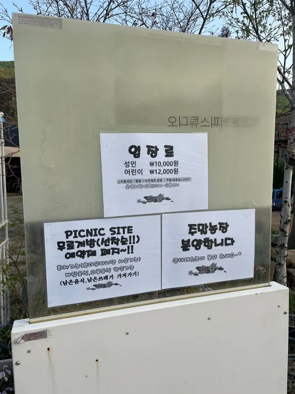 뿌리깊은나무숲 사진 2
