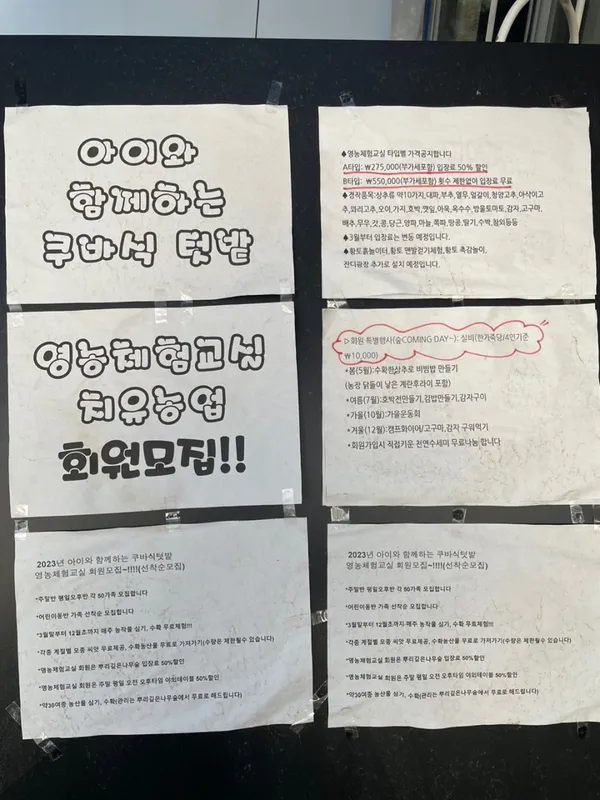 뿌리깊은나무숲 사진 3