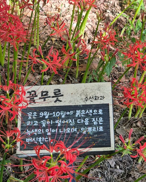선운산도립공원