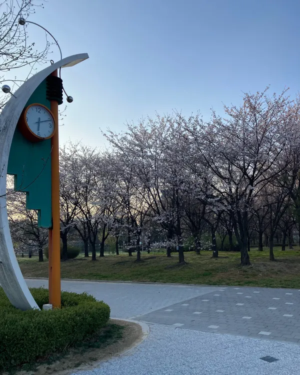 서호꽃뫼공원