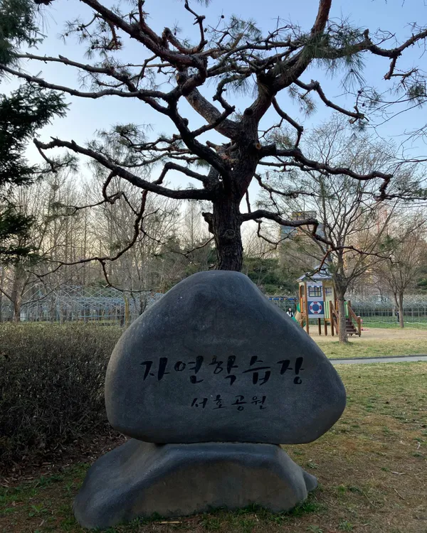 서호꽃뫼공원 사진 4