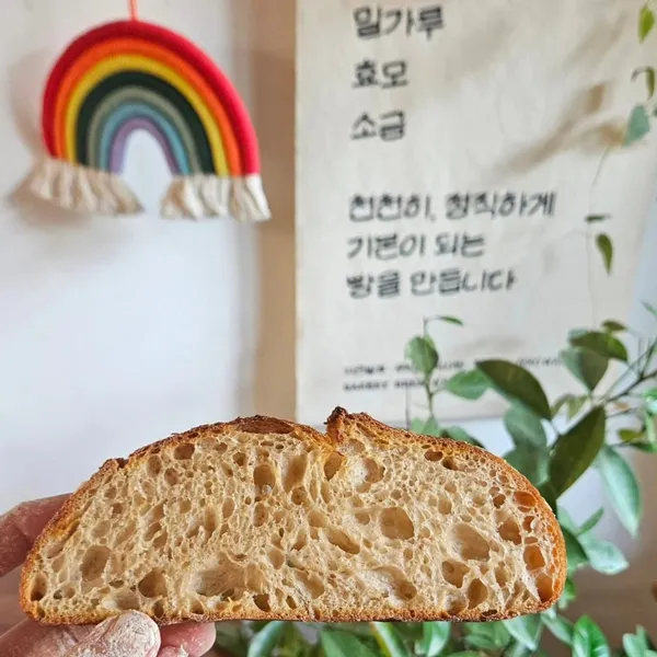 베이커리 빵과장미 사진 4