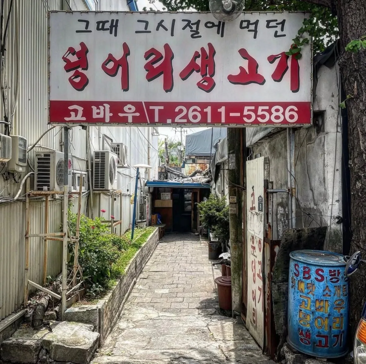 고바우