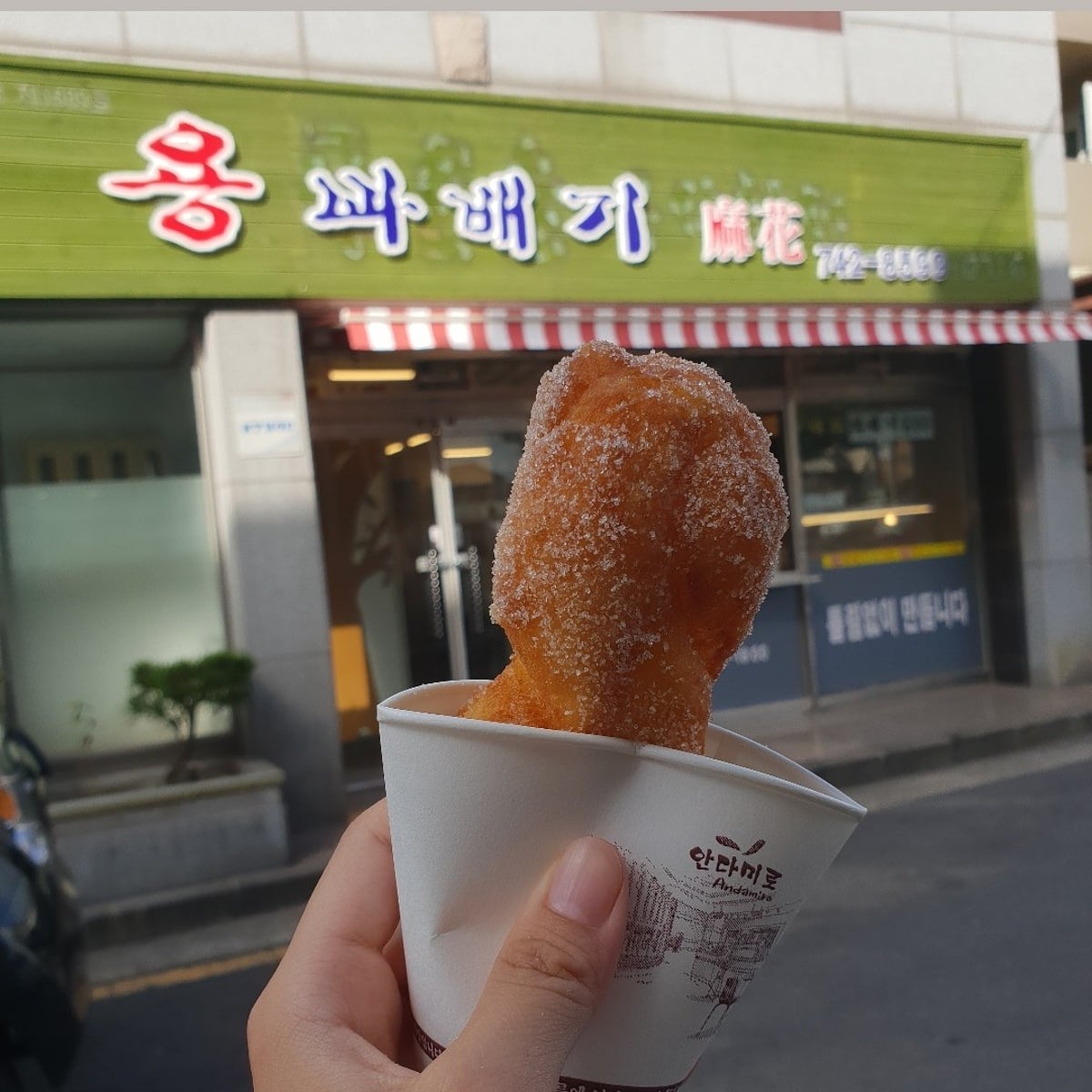 용꽈배기 사진 2
