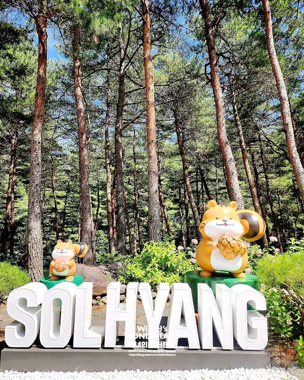 강릉솔향수목원