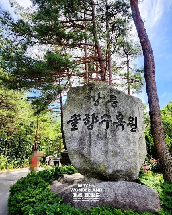 강릉솔향수목원 사진 2