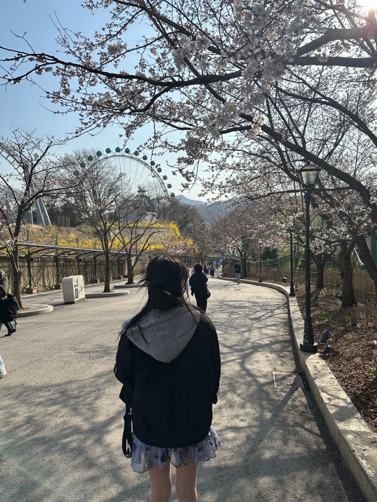 흑산도낙원식당 사진 4