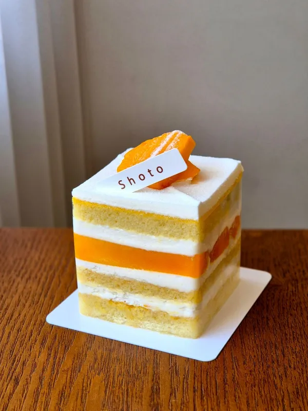 쇼토 사진 5