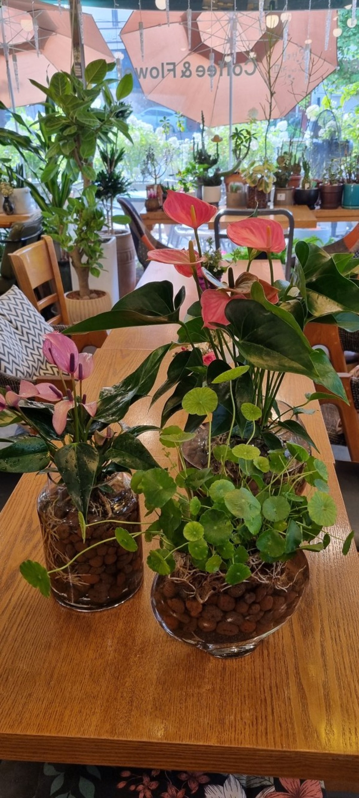 꽃보다커피 사진 4