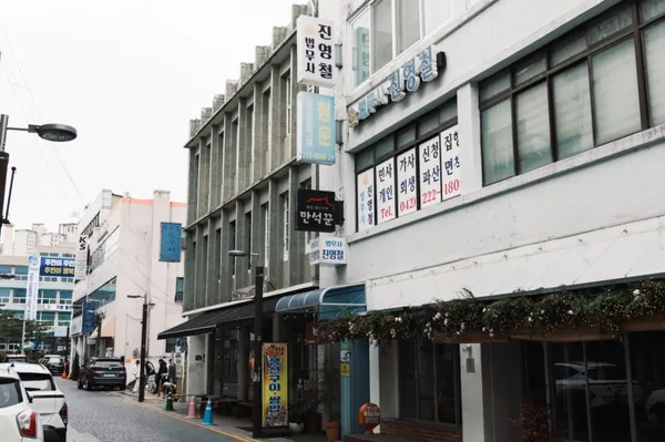 폴라잇 사진 3
