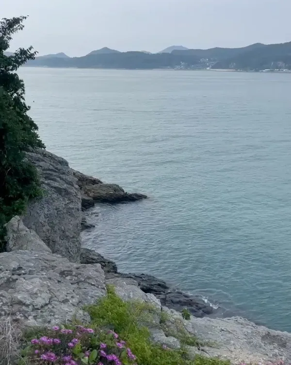 오동도 사진 5