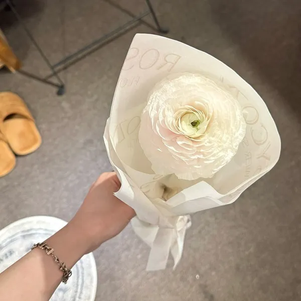 로지코지 플라워 사진 2