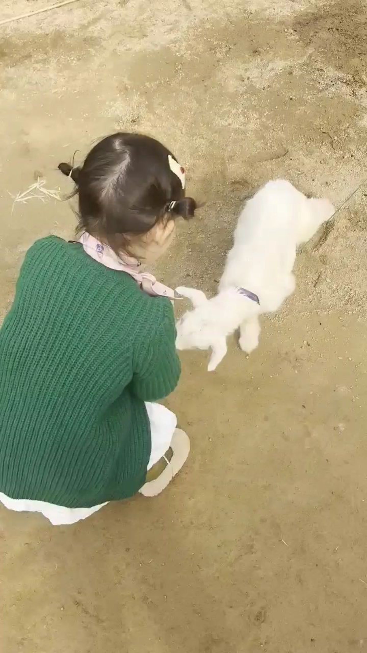 나눔농장 사진 5