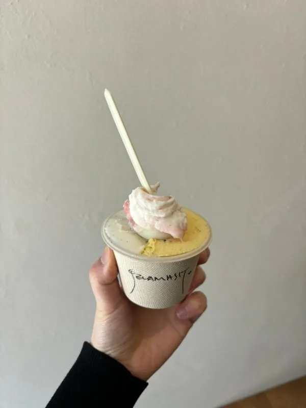 젤라마시또 사진 2
