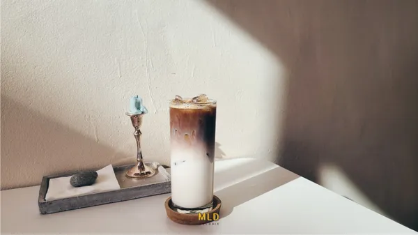 멜로디 사진 4