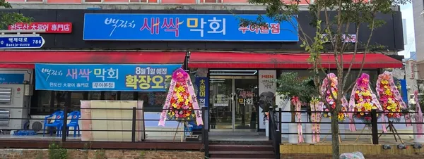 백김치새싹막회 우아본점 사진 3