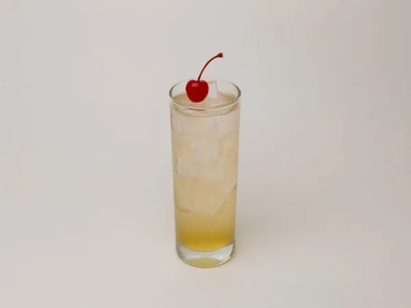 너디블루 사진 5