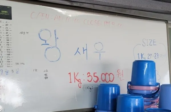 약암양식장 사진 5