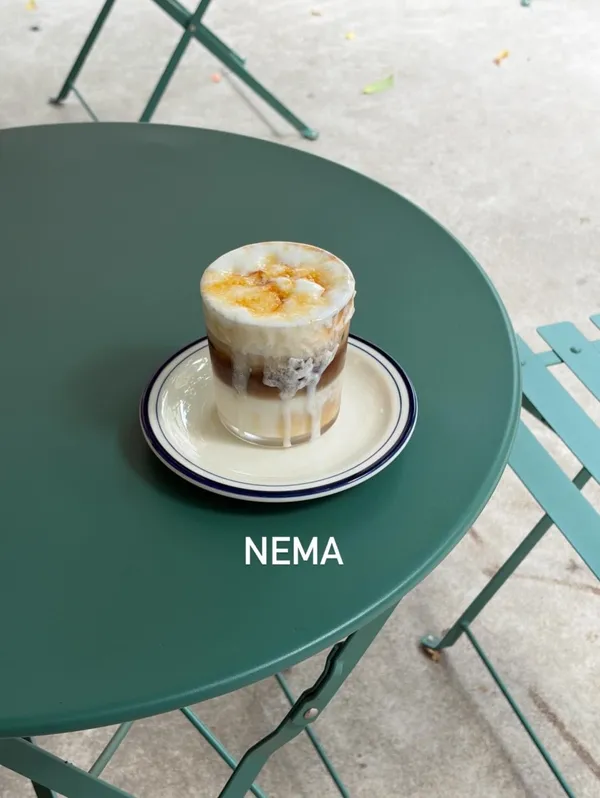 네마 사진 2