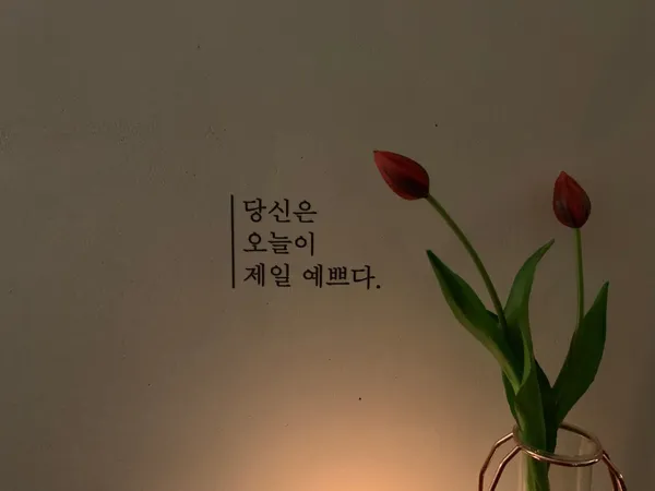 라비 사진 5