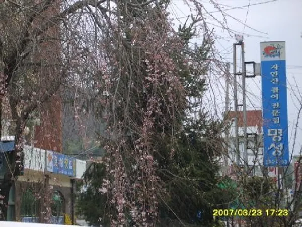 명성횟집 사진 3
