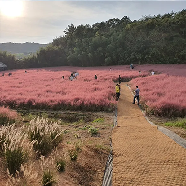 고창 청농원 사진 5