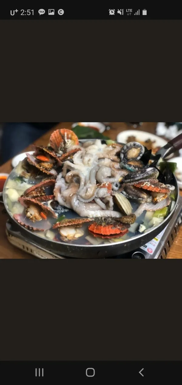벌떼집 사진 2