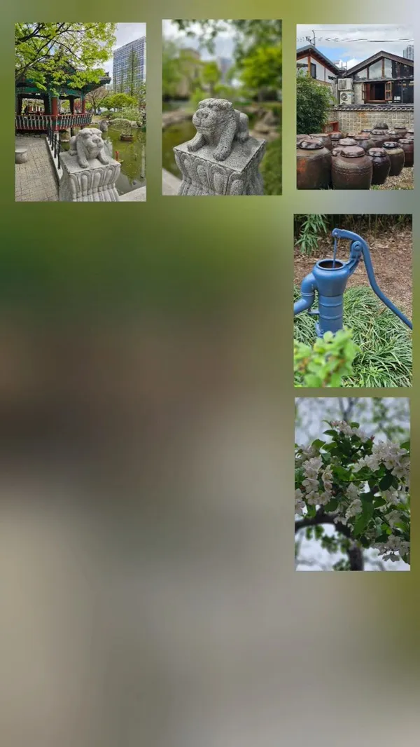 キョンサンガムヨン公園の写真5