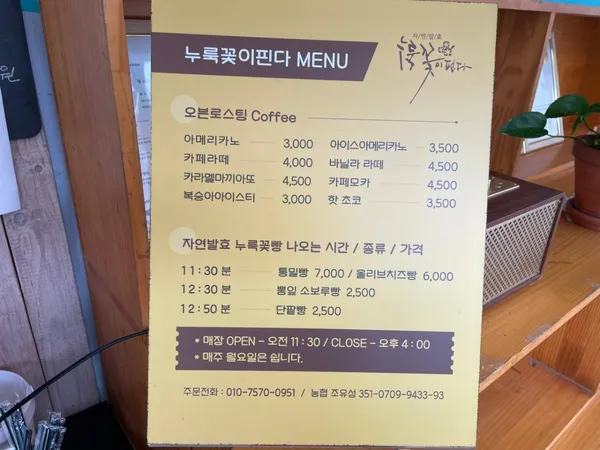 누룩꽃이핀다 사진 4