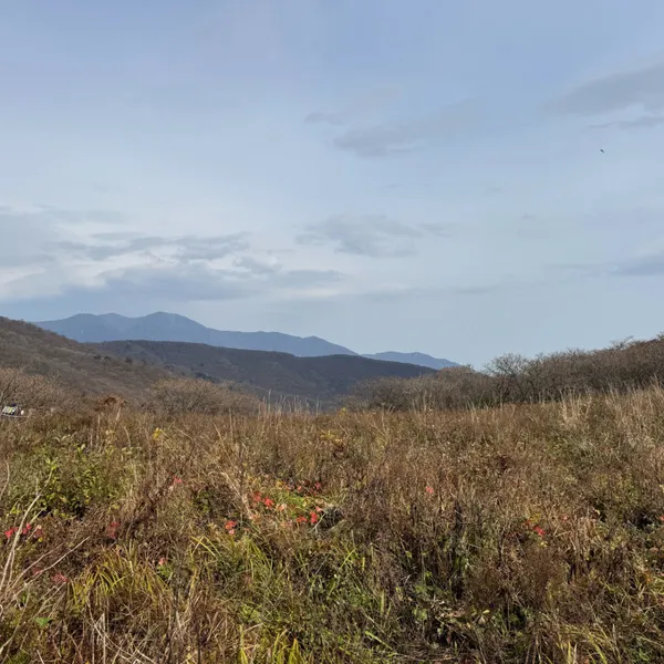 점봉산