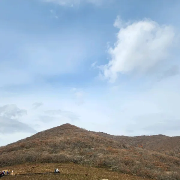 점봉산 사진 2