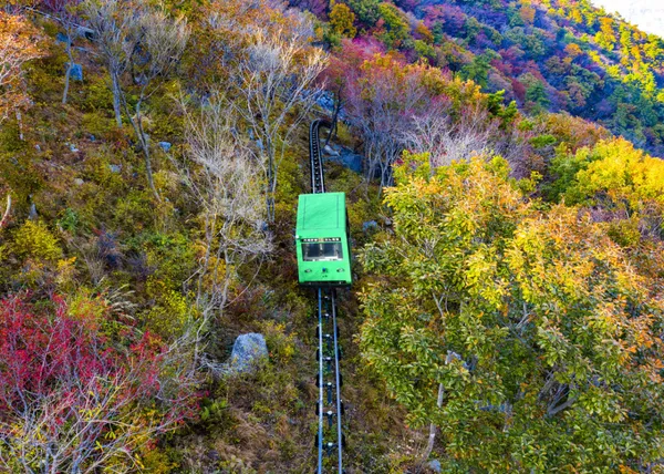거제관광모노레일 사진 3