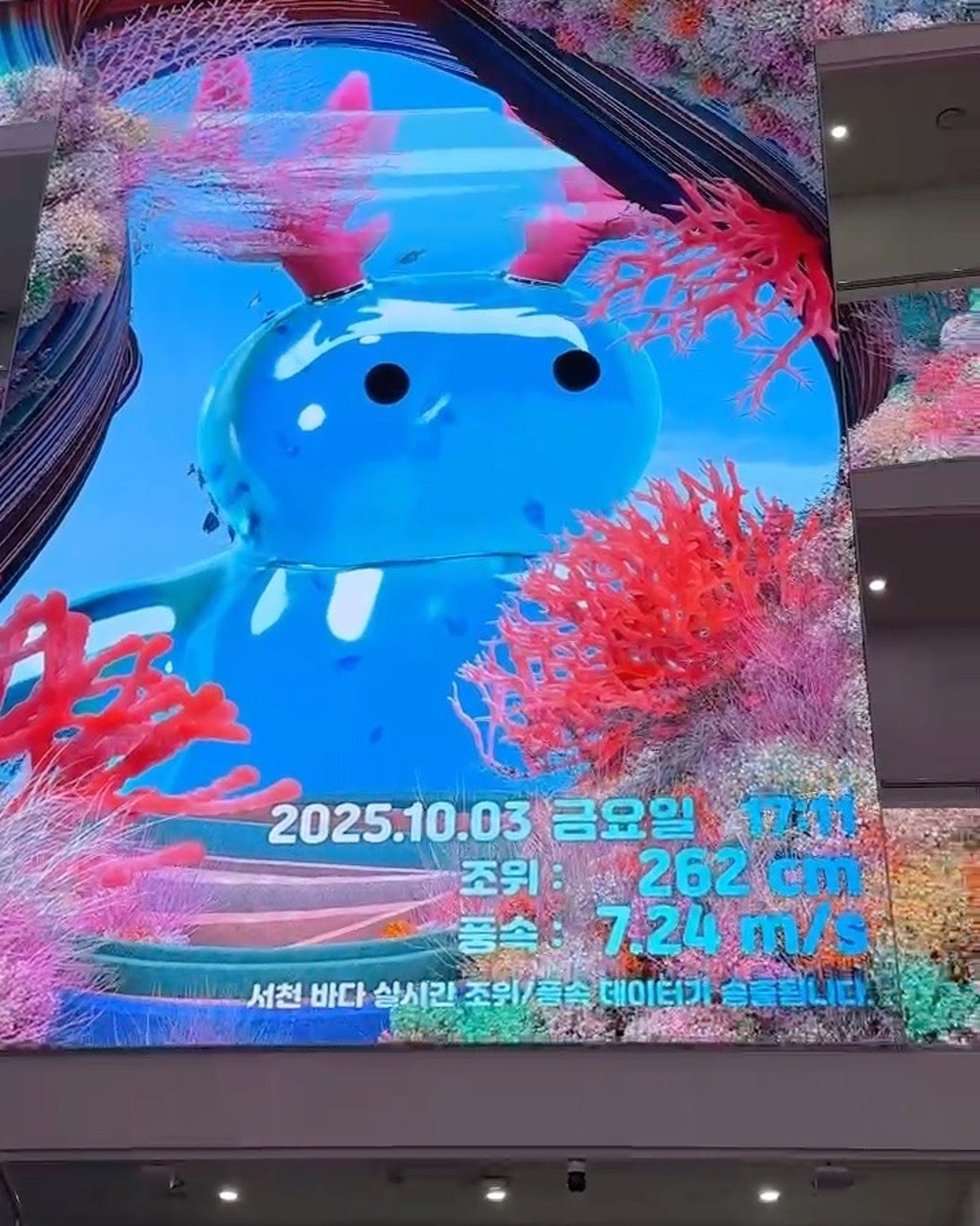 씨큐리움 사진 3