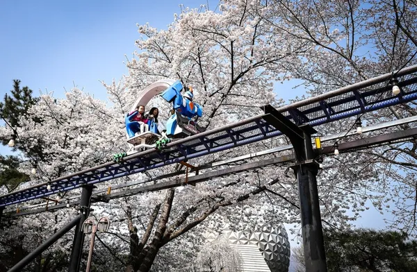 서울랜드 사진 3