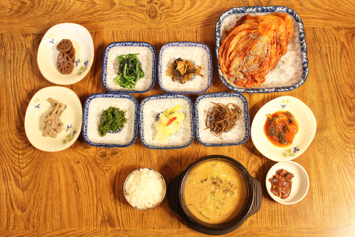 포도나무 사진 3