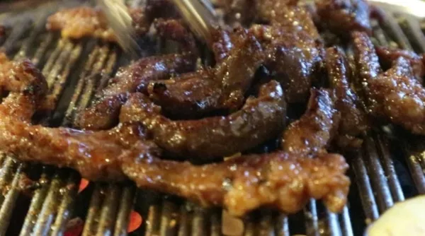 탄 사진 4
