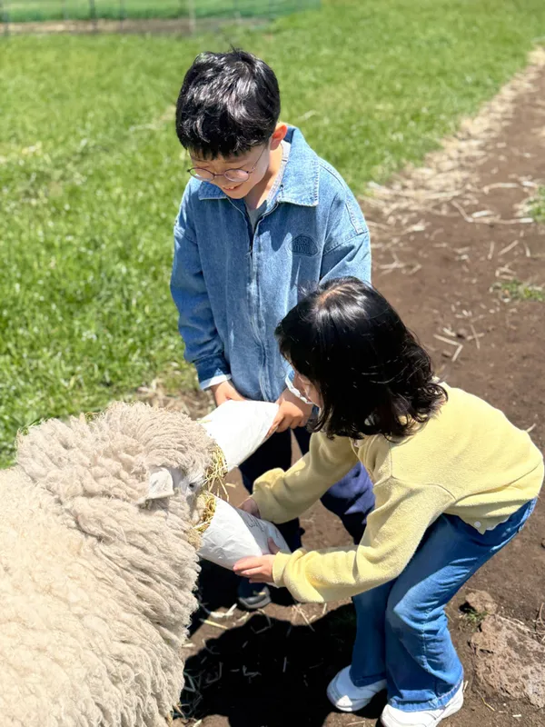 삼다마을목장 사진 2