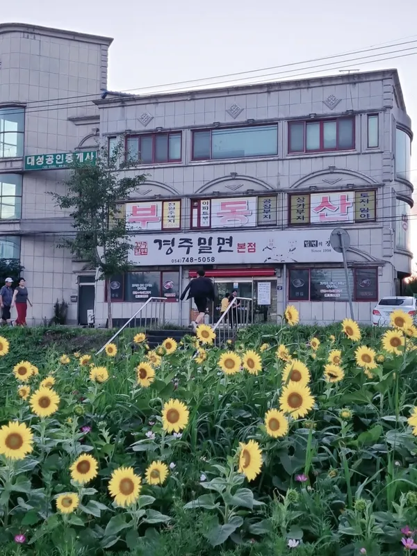 경주밀면 본점 사진 3