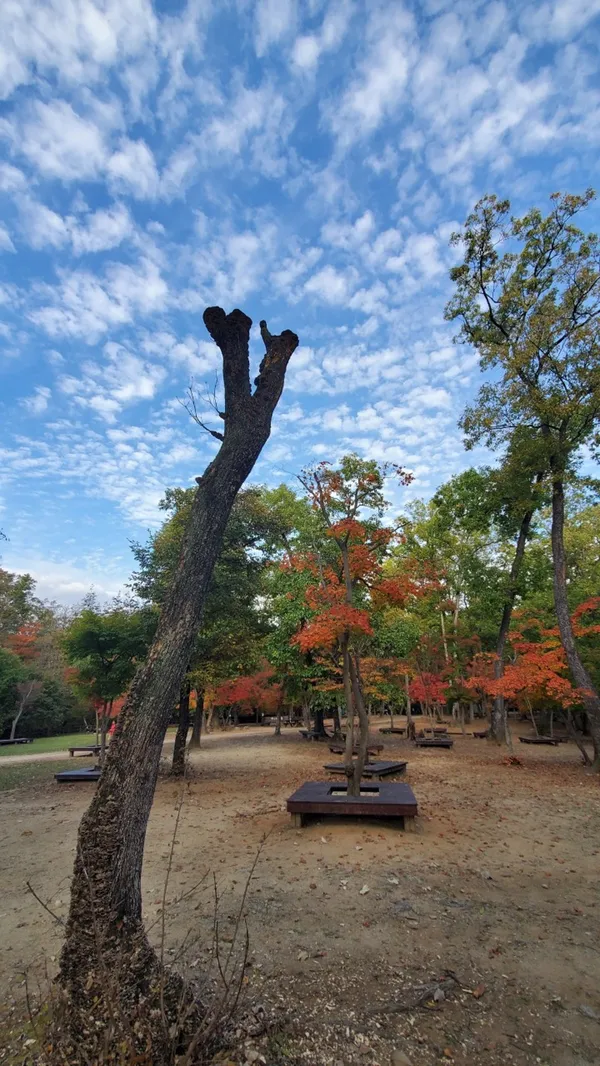 국립수목원 사진 4
