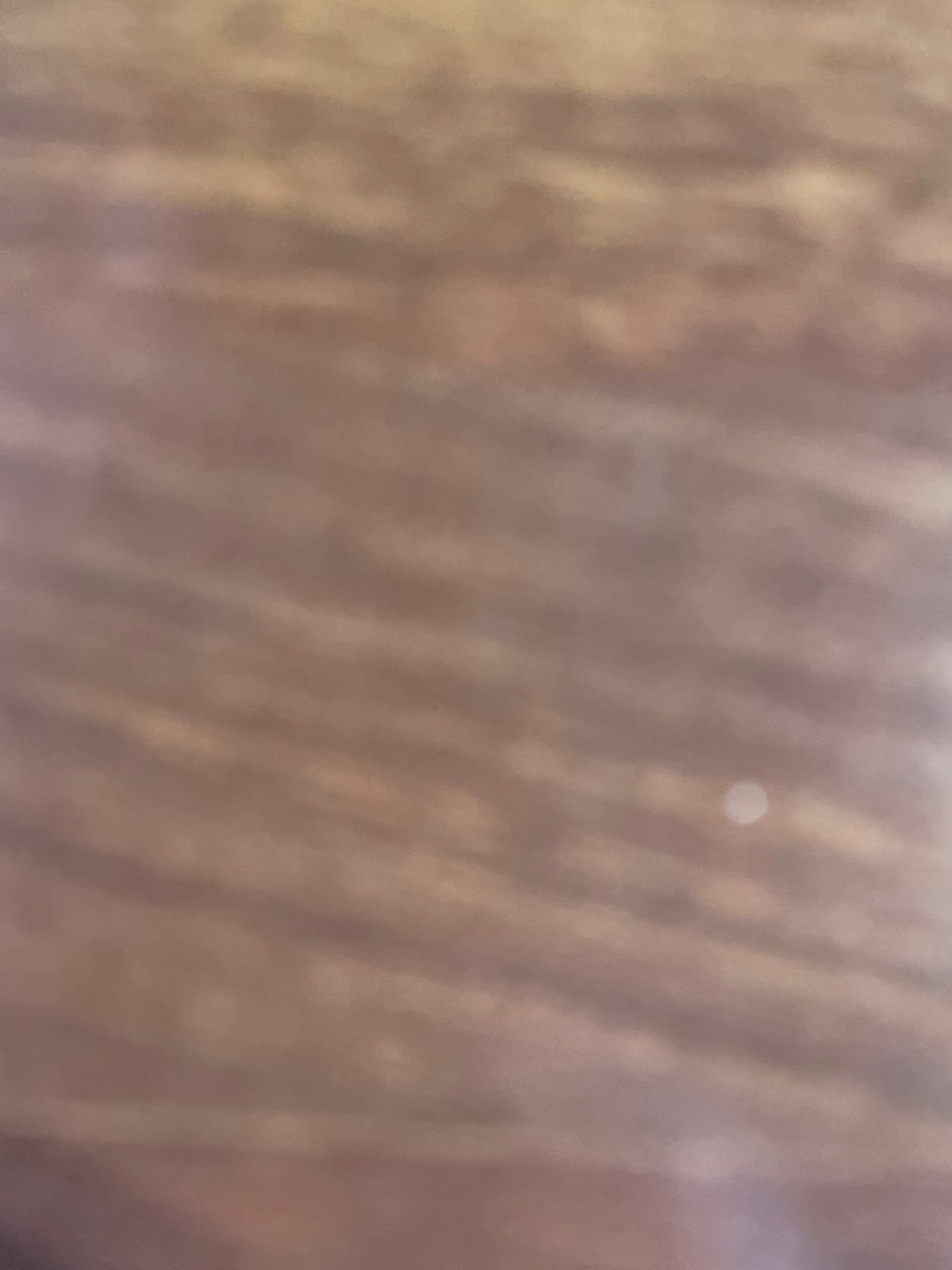 오들락 사진 5