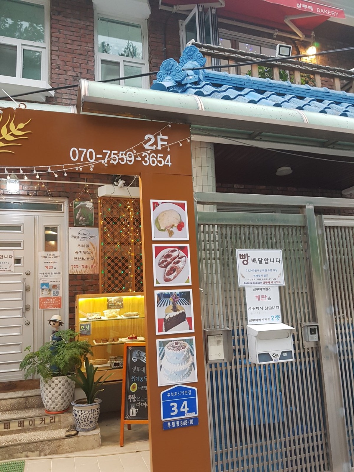 살루떼 사진 5