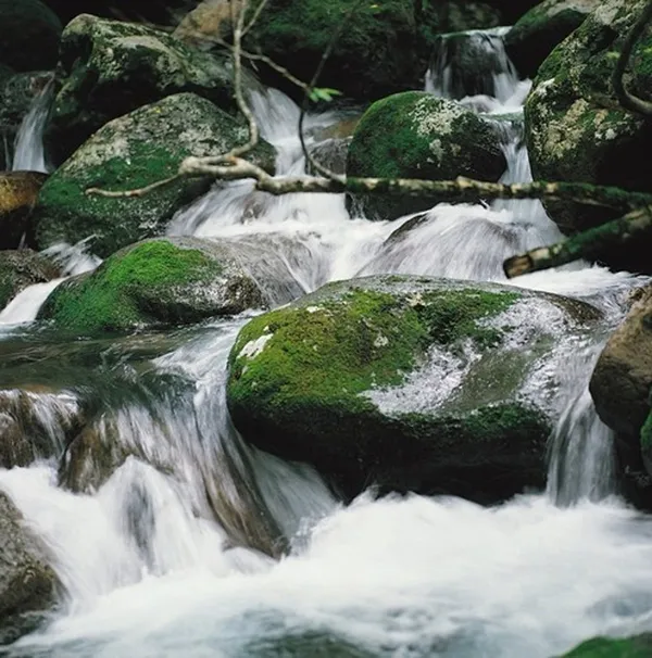 한라산 사진 3