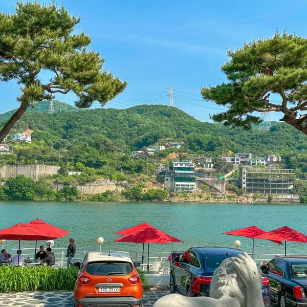 일피노 사진 3