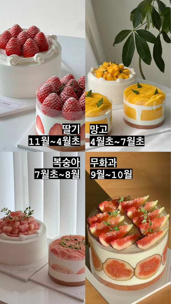 르폴 사진 2