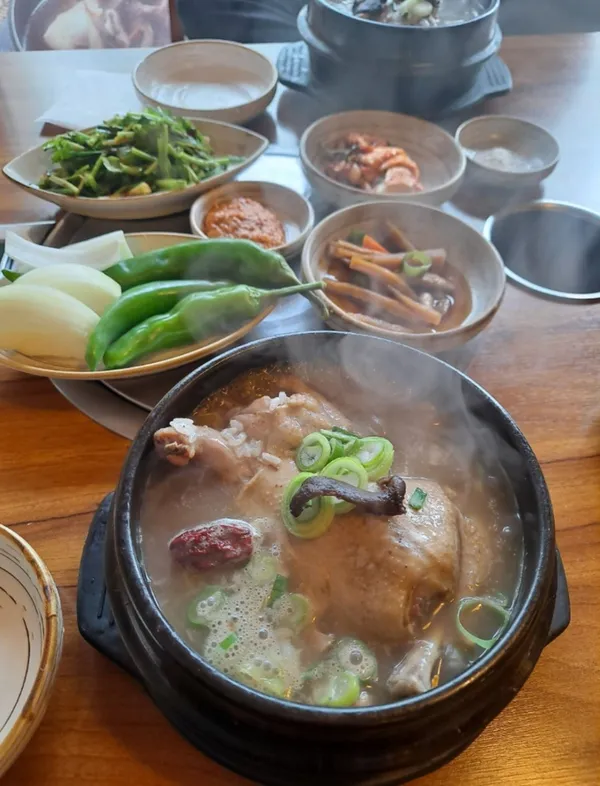미운오리 사진 3