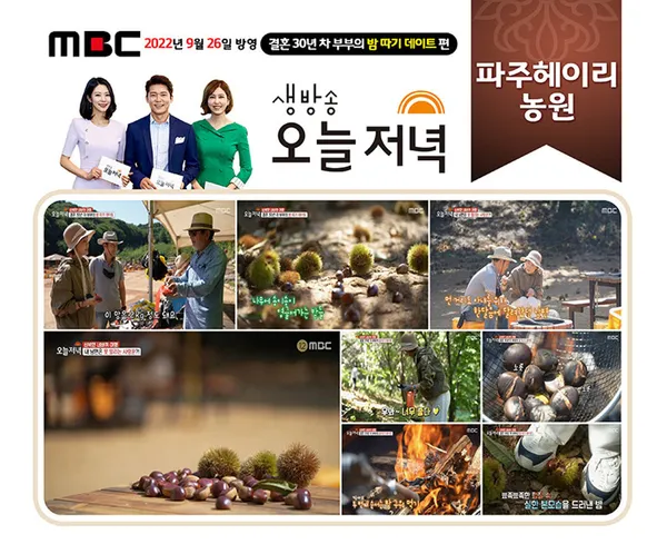 헤이리농원 사진 2